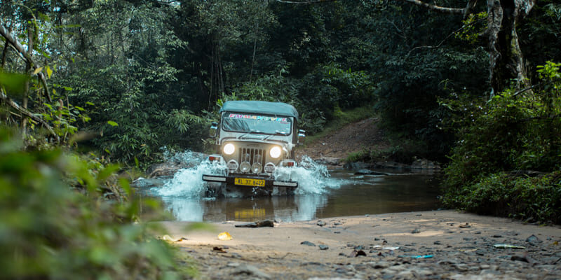 Jeep safari in Wayanad