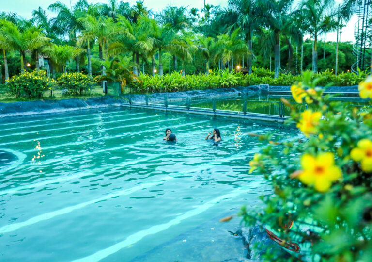 Wayanad Resort with Pool