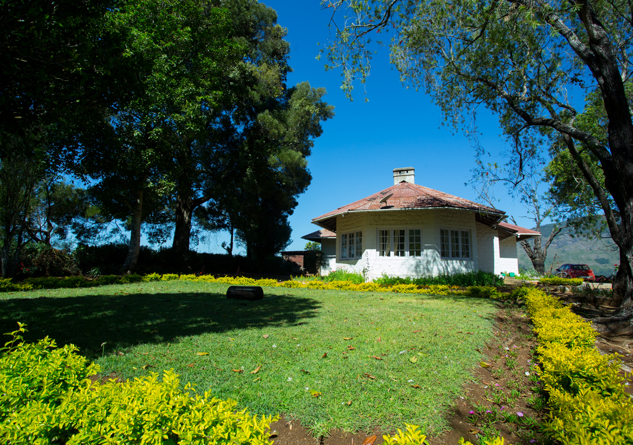 Tea estate bungalows