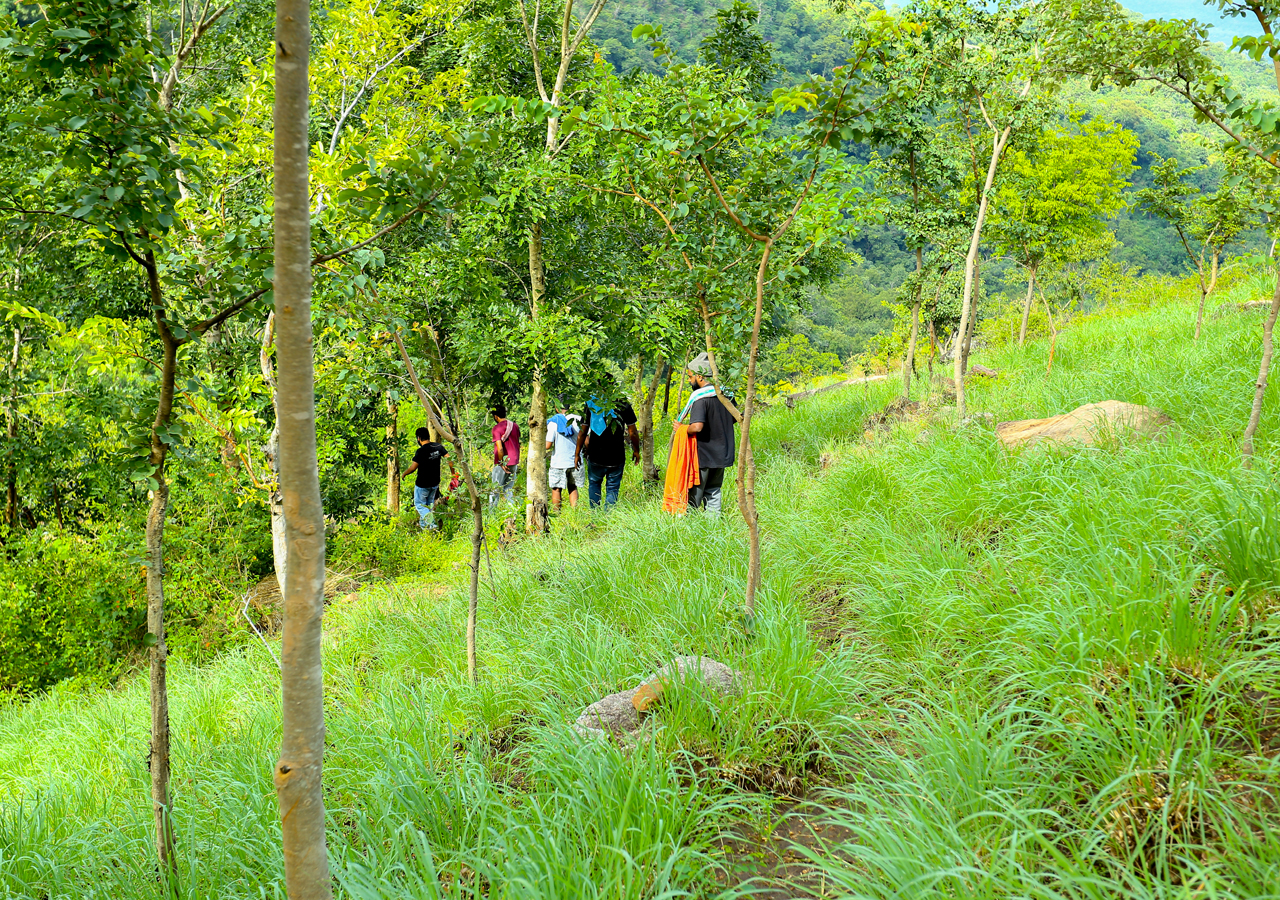 vagamon trekking