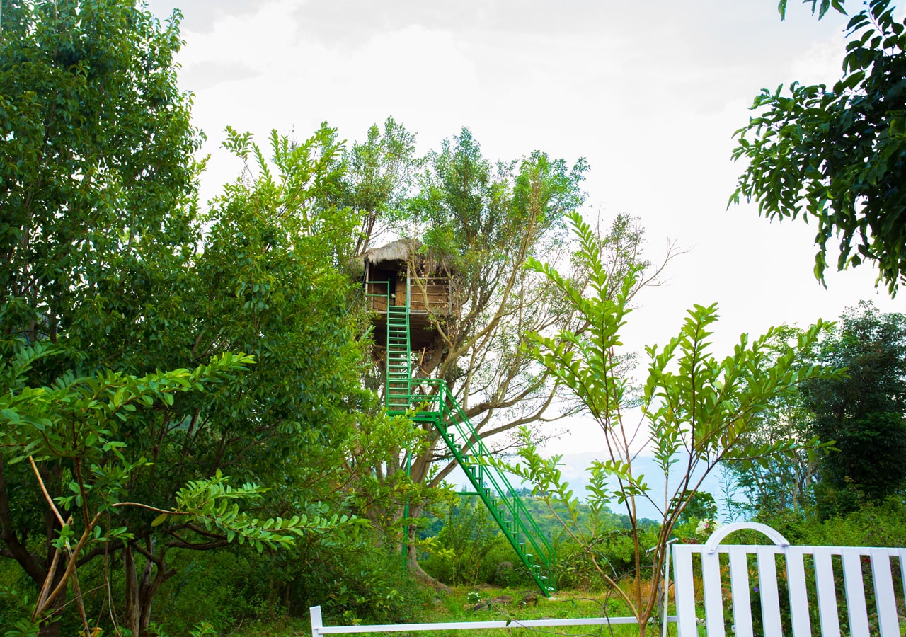 Tree House in Munnar