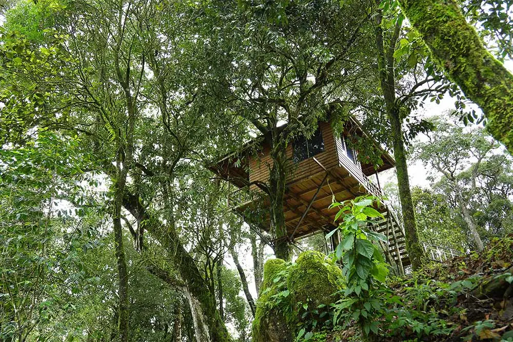 Tree-House-07