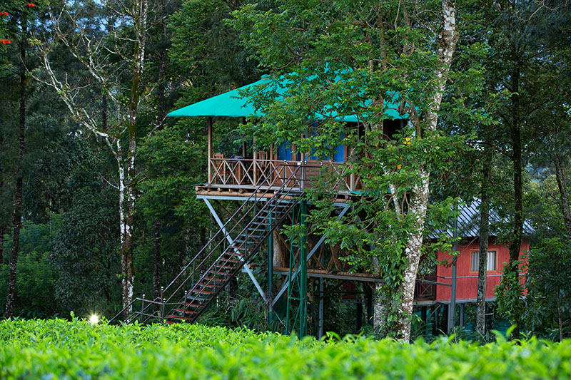 Jungle Resorts in Munnar