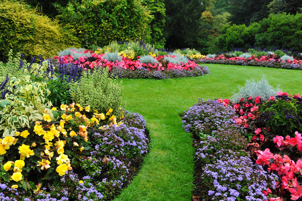 flower show in ooty