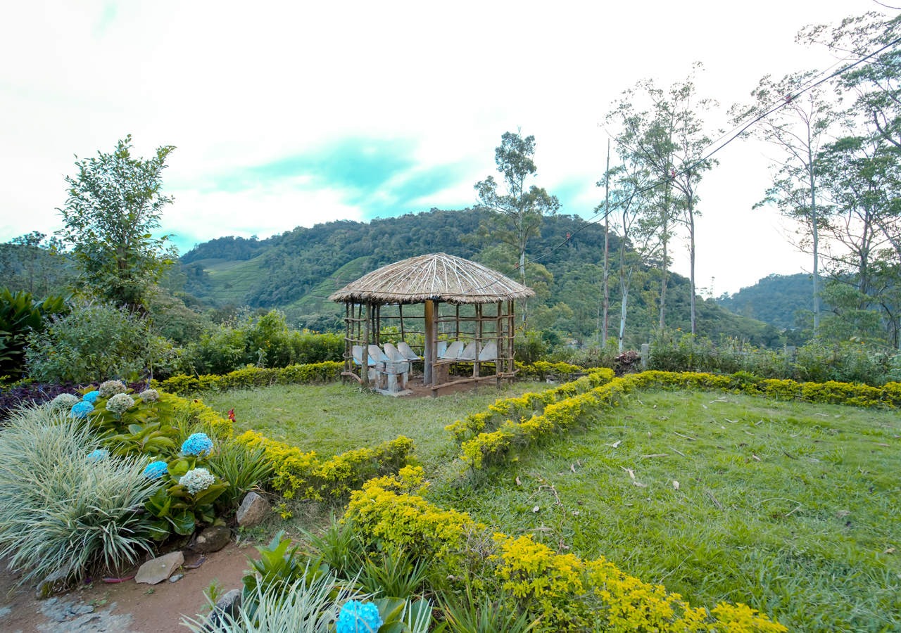 hill view bungalow munnar