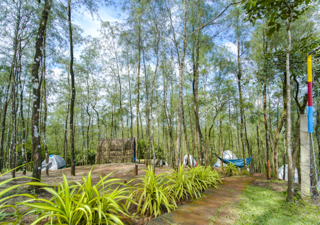 tent stay wayanad