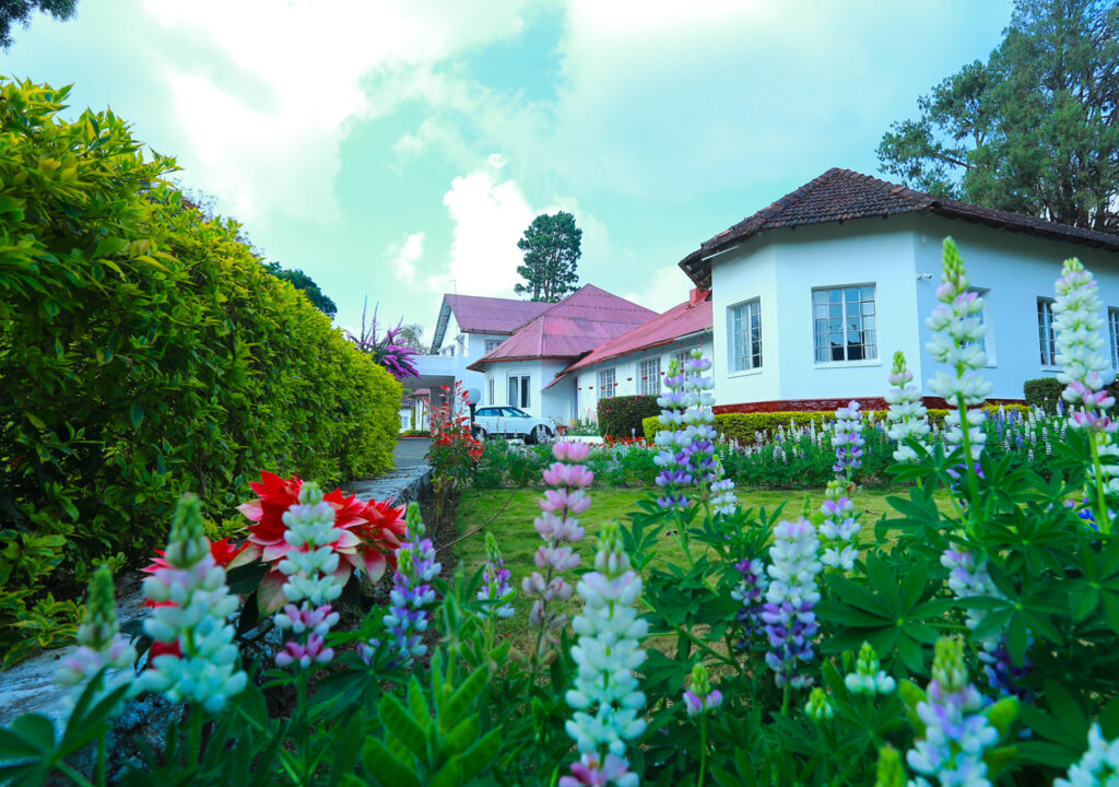 best bungalow in munnar
