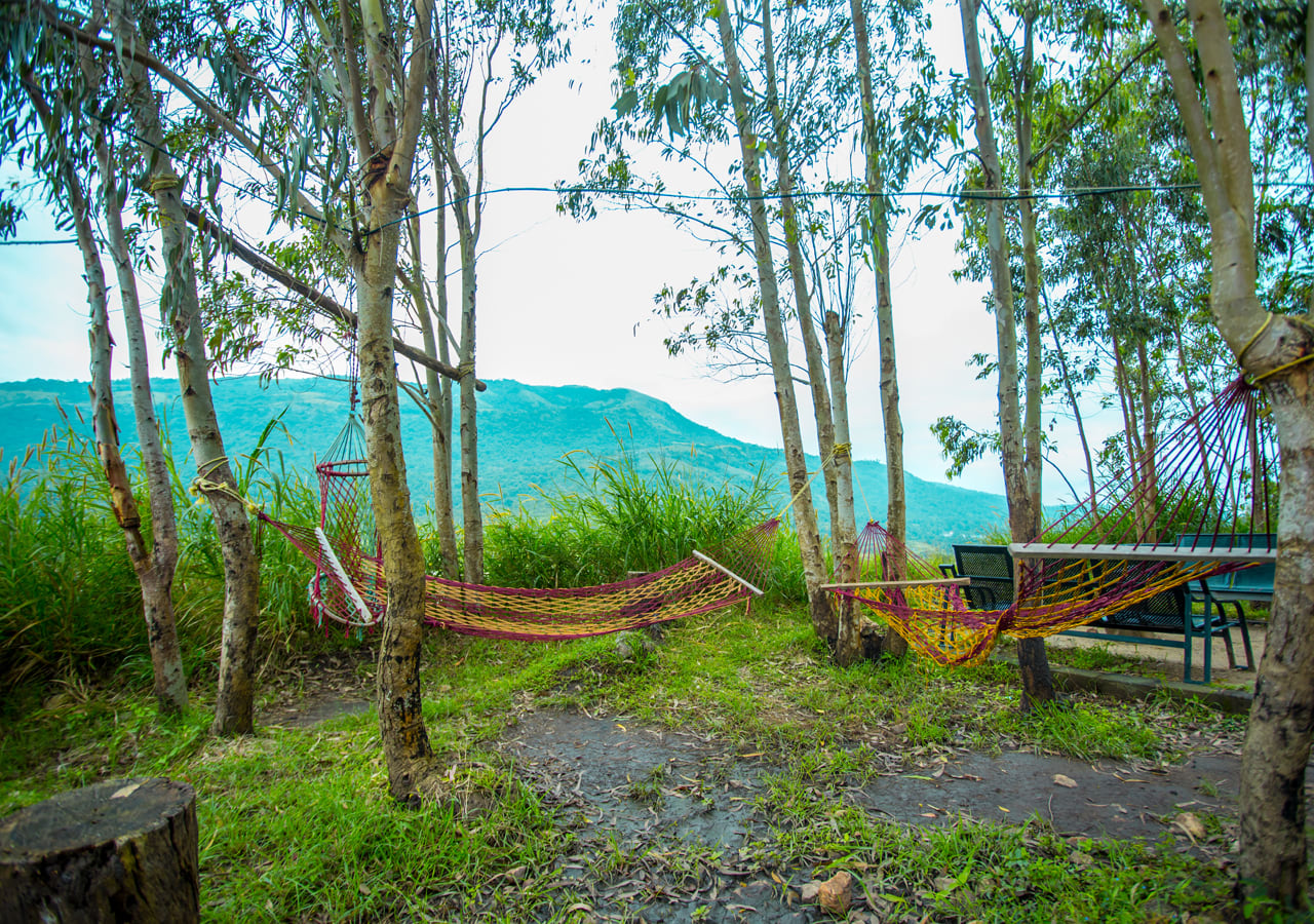 farmland stay in attapadi