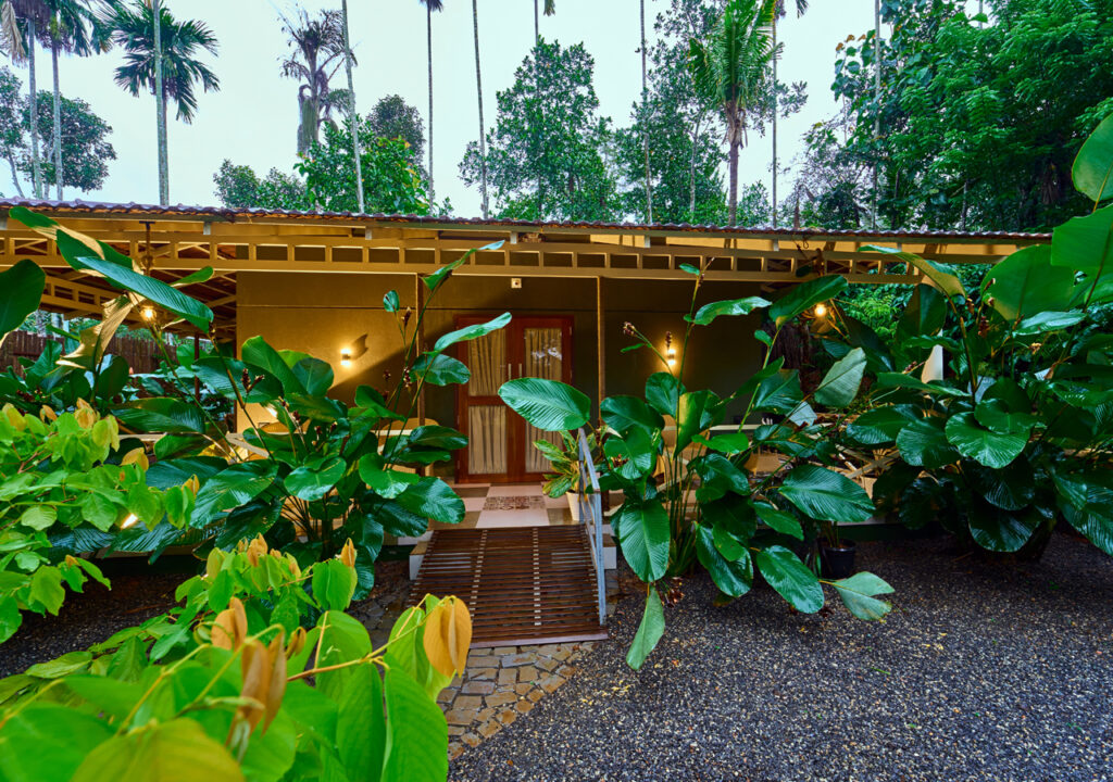 resorts in wayanad