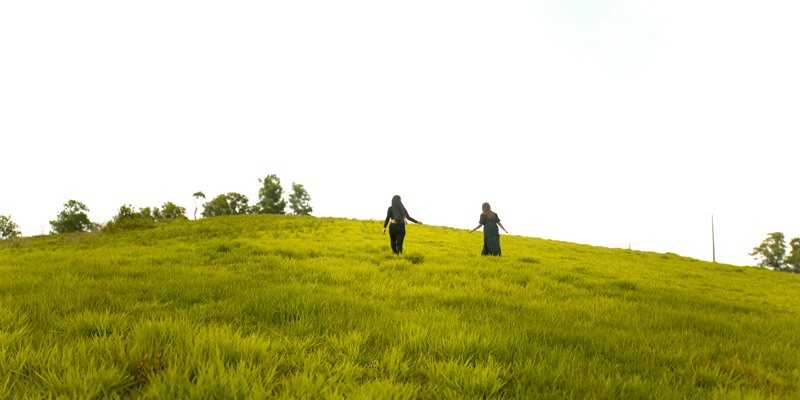 Vagamon Medows