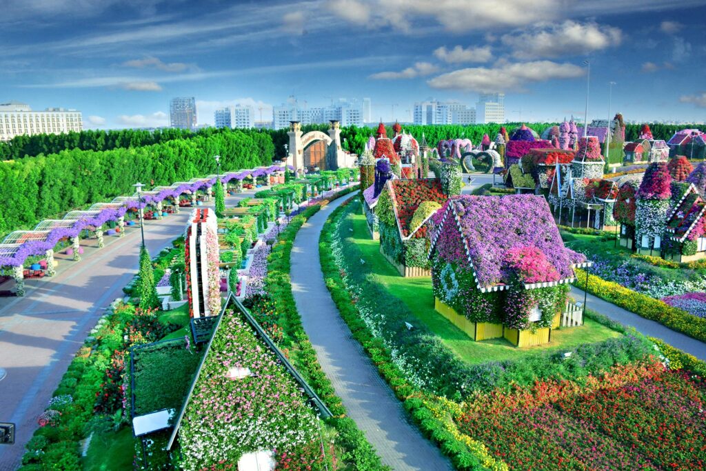 Miracle Garden