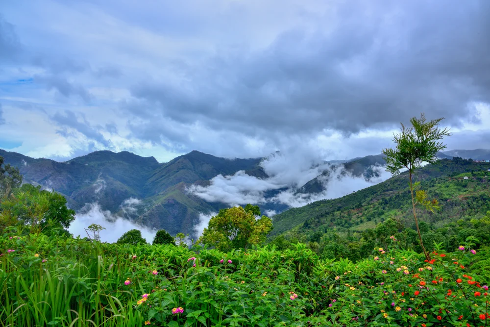 kotagiri resort