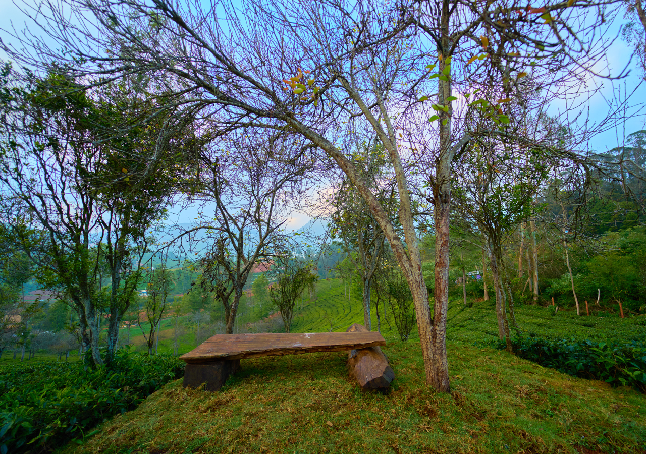 plantation bungalow in ooty