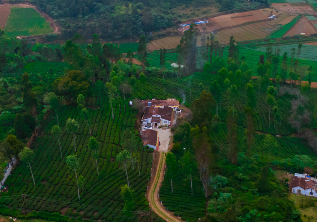 bungalows in ooty