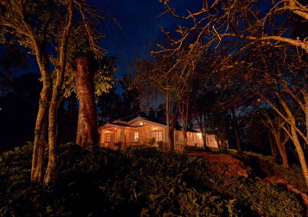 stays in ooty