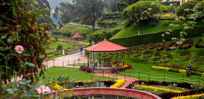 ooty summer festival