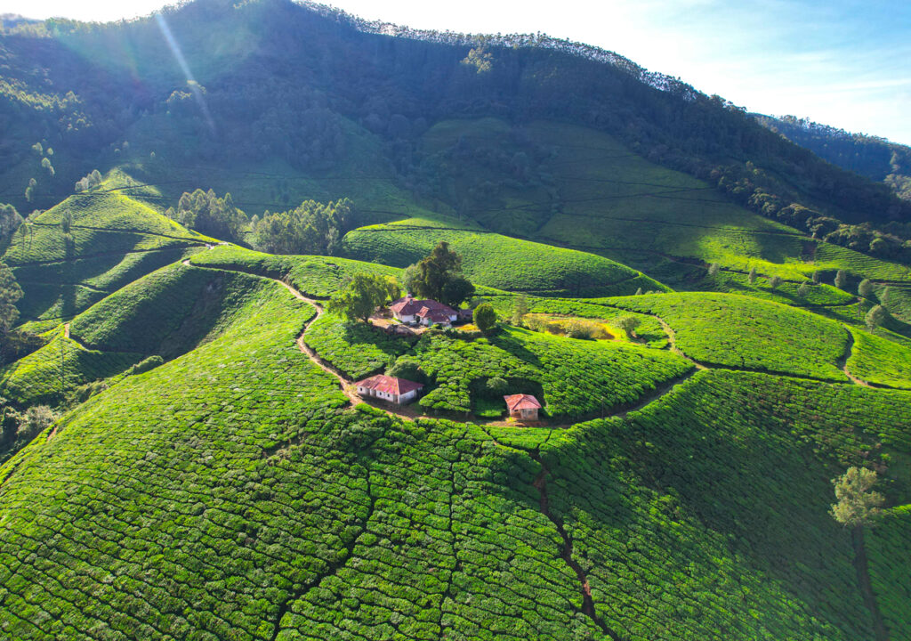 monsoon in Munnar