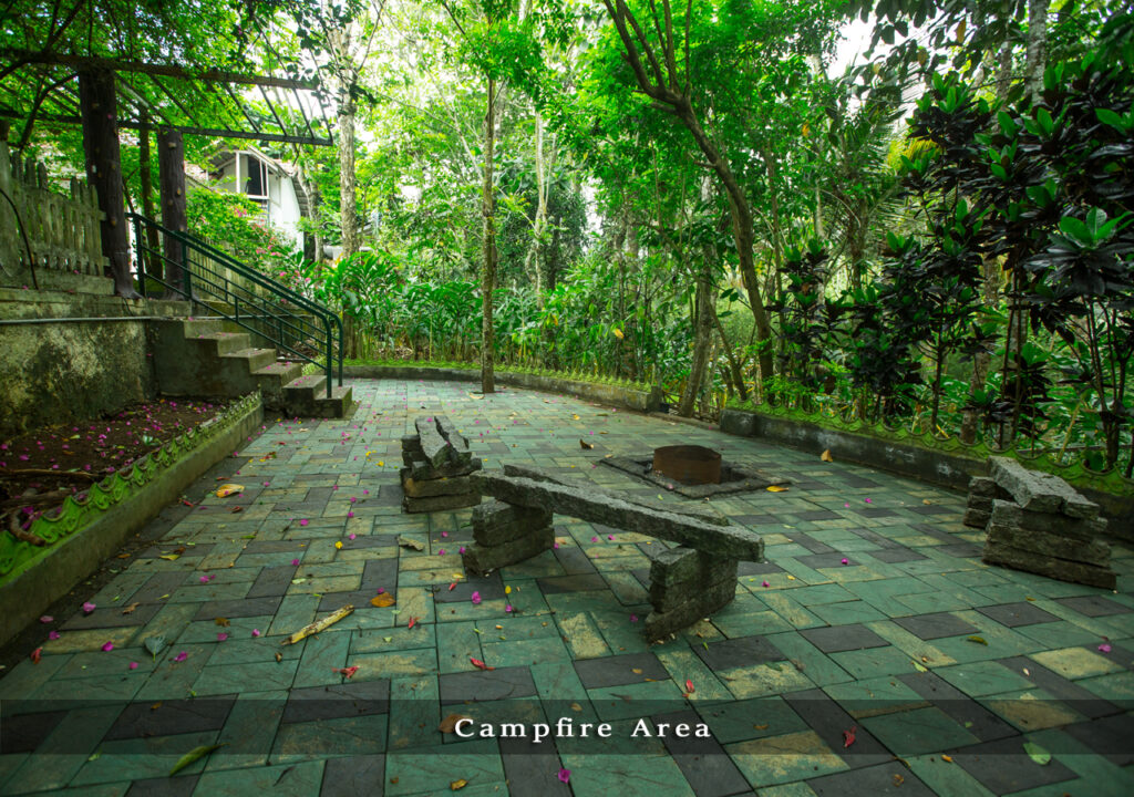 rooms in thekkady