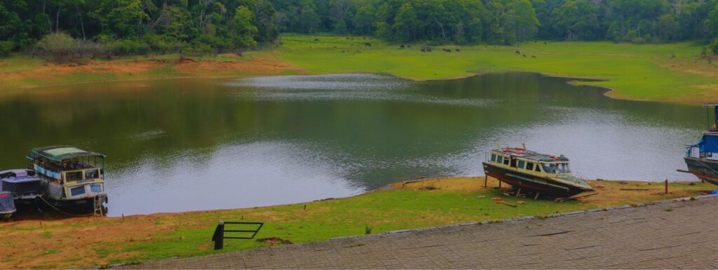 best resorts in thekkady