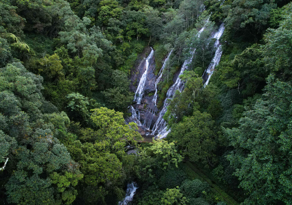 Places to Visit in Monsoon