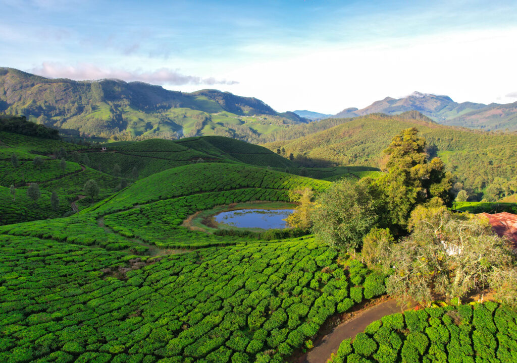 Places to Visit in Monsoon