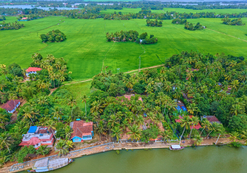 backwater in kuttanad
