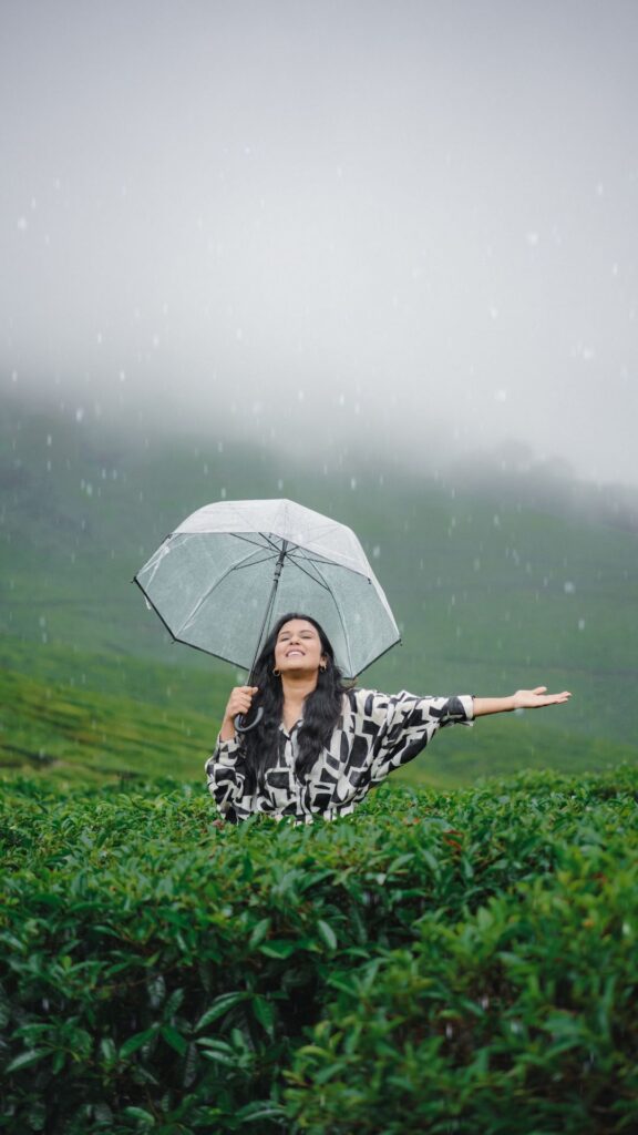 monsoon stays in vagamon