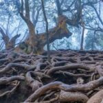 Guna caves, The devil's kitchen
