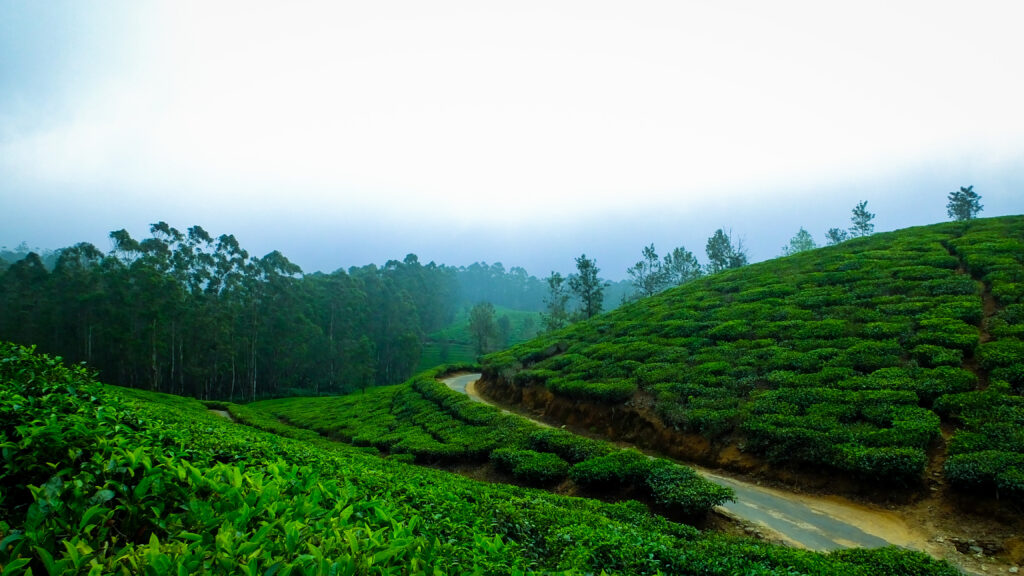 Places to Visit in Monsoon