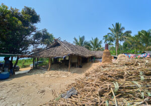 DSC01141 (1)
