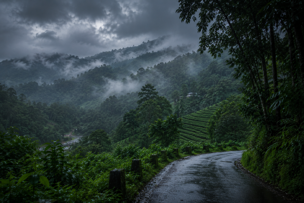 wayanad