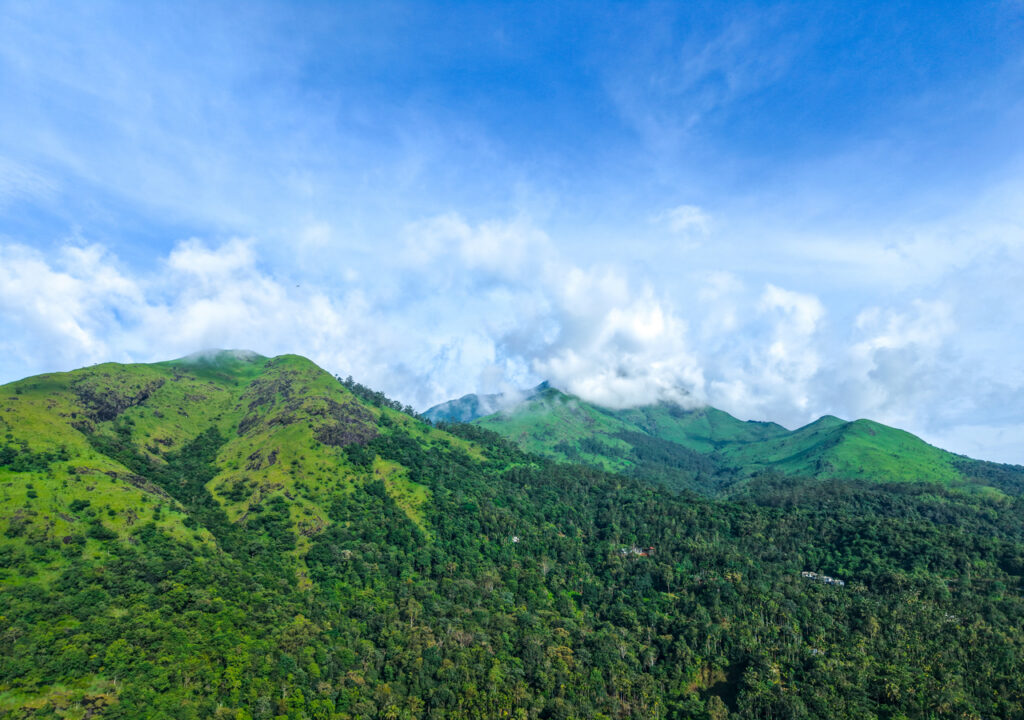 Private Pool Resorts in Wayanad