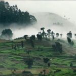 27 Stunning Hill Stations in South India to Add to Your Bucket List