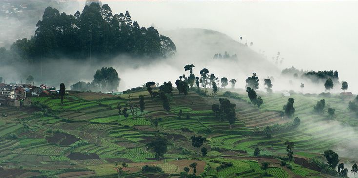 ooty vs thekkady vs coorg