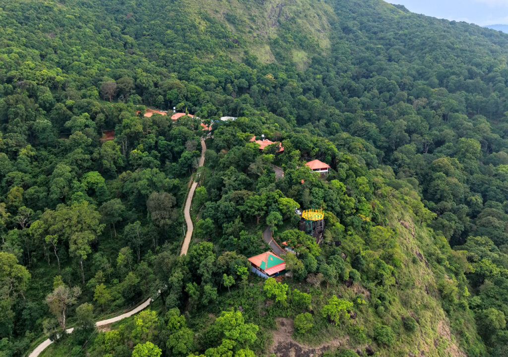 Ooty vs thekkady vs coorg