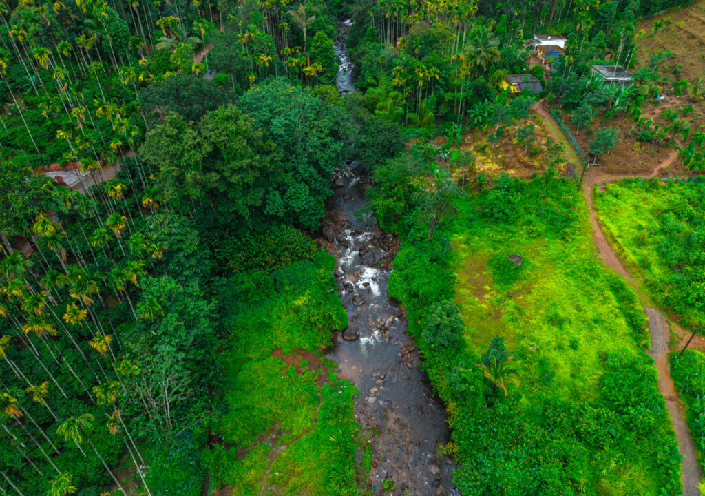 Best Resort Near Banasura Sagar Dam