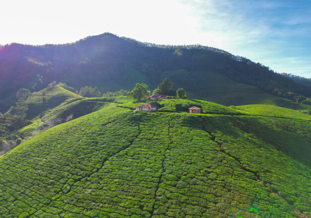 stay in Munnar