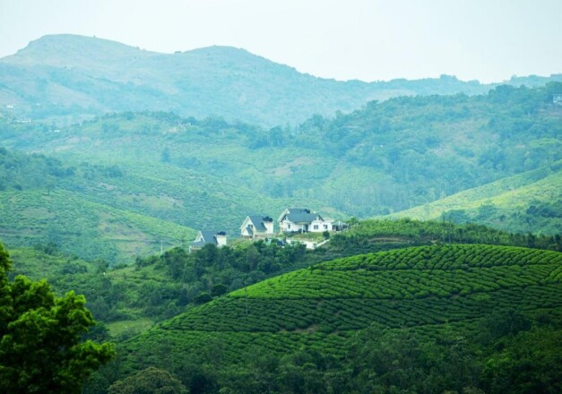 Hill Resort in South India