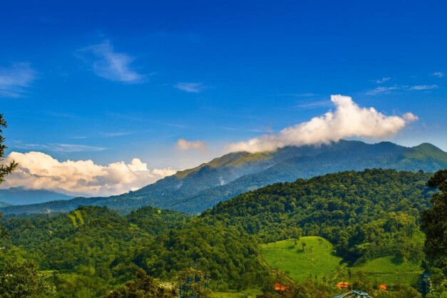 Wayanad couple resort