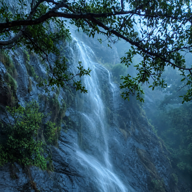 monsoon in attapadi