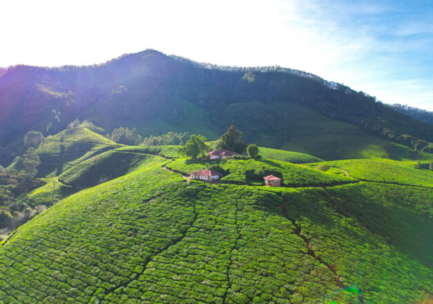 hill view resort munnar