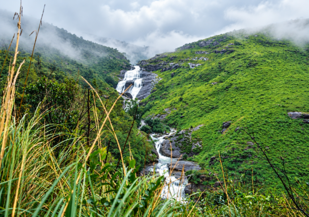 Best Christmas Stay in South India