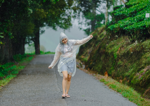 best stays in kerala for monsoon