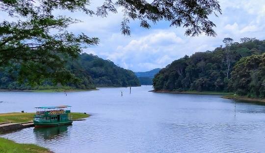 thekkady stays