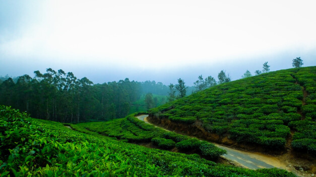 Places to Visit in Monsoon