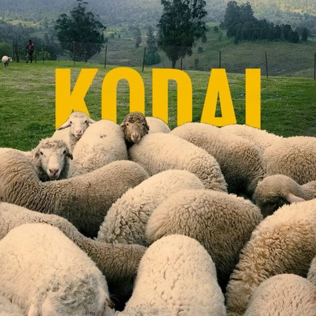 kodaikanal